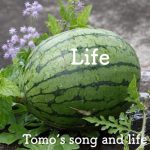 Tomo's song and life Life/Recording/Mixdown/Mastering